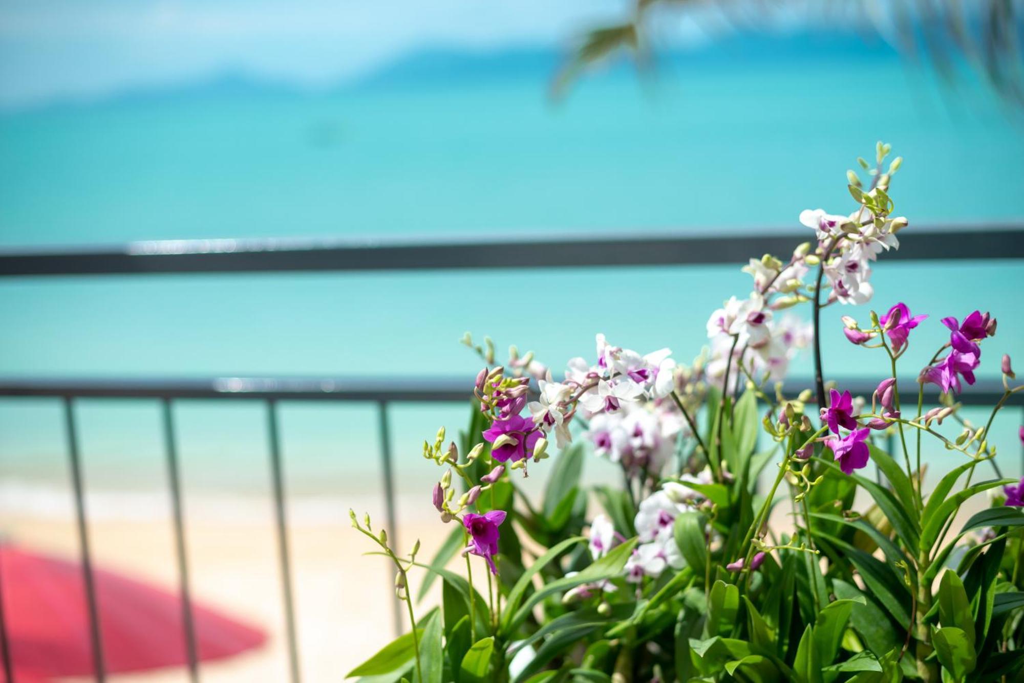 The Florist Resort Mae Nam Beach Eksteriør bilde